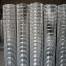 Galvanized Welded Wire Mesh