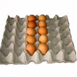 Eco-friendly pulp egg carton 30 cell recycle paper egg box 