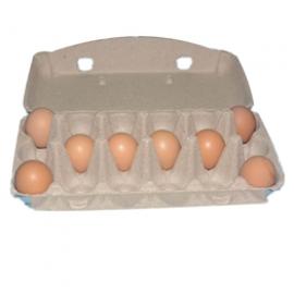 18 egg cartons biodegradable recycled pulp box paper egg tray boxes