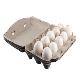 15 eggs holder biodegradable recycled pulp box paper egg tray boxes