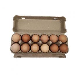 12 eggs holder biodegradable recycled pulp box paper egg tray boxes