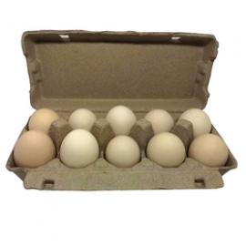 10 eggs cartons biodegradable recycled pulp egg box