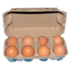  8 eggs holder biodegradable recycled high quality pulp box paper egg tray boxes