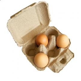 6 pack eggs box biodegradable recycled pulp box paper egg tray boxes